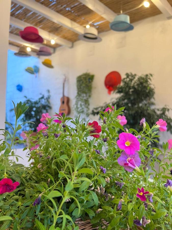 לצ'ה Suite Battisti 7 מראה חיצוני תמונה