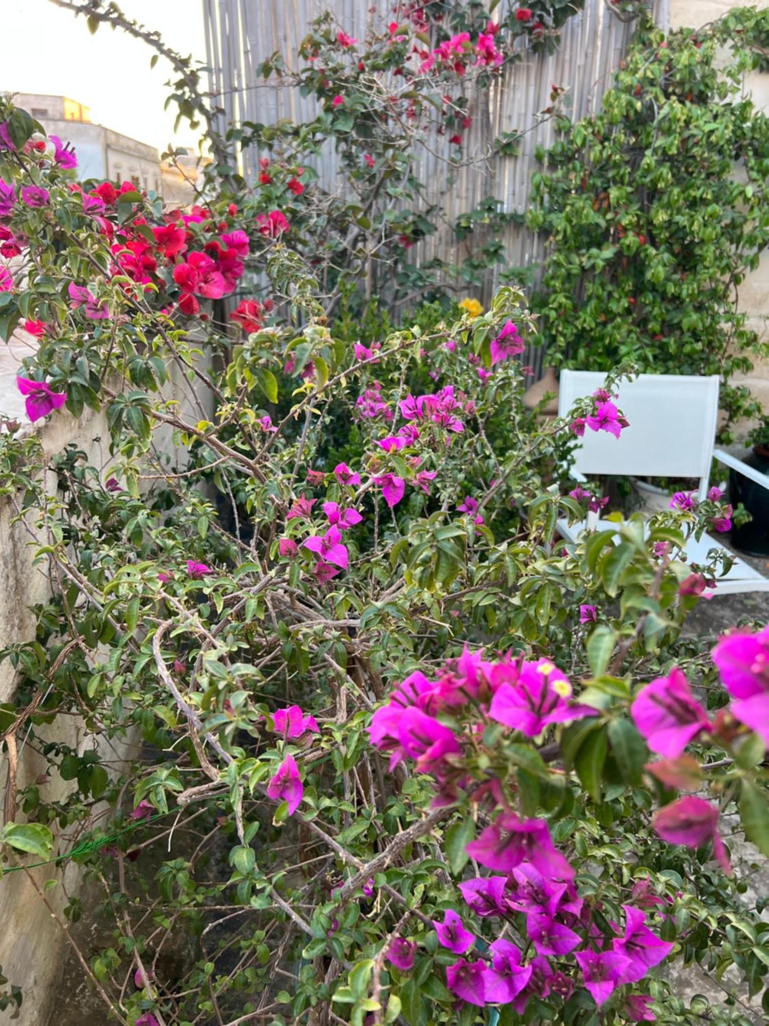 לצ'ה Suite Battisti 7 מראה חיצוני תמונה